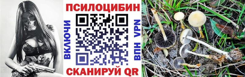 цена наркотик  Нижняя Тура  МЕГА онион  Галлюциногенные грибы Magic Shrooms 